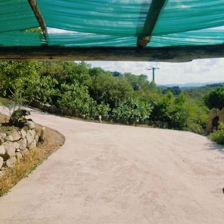 Villa Sara Olbia Ngoại thất bức ảnh